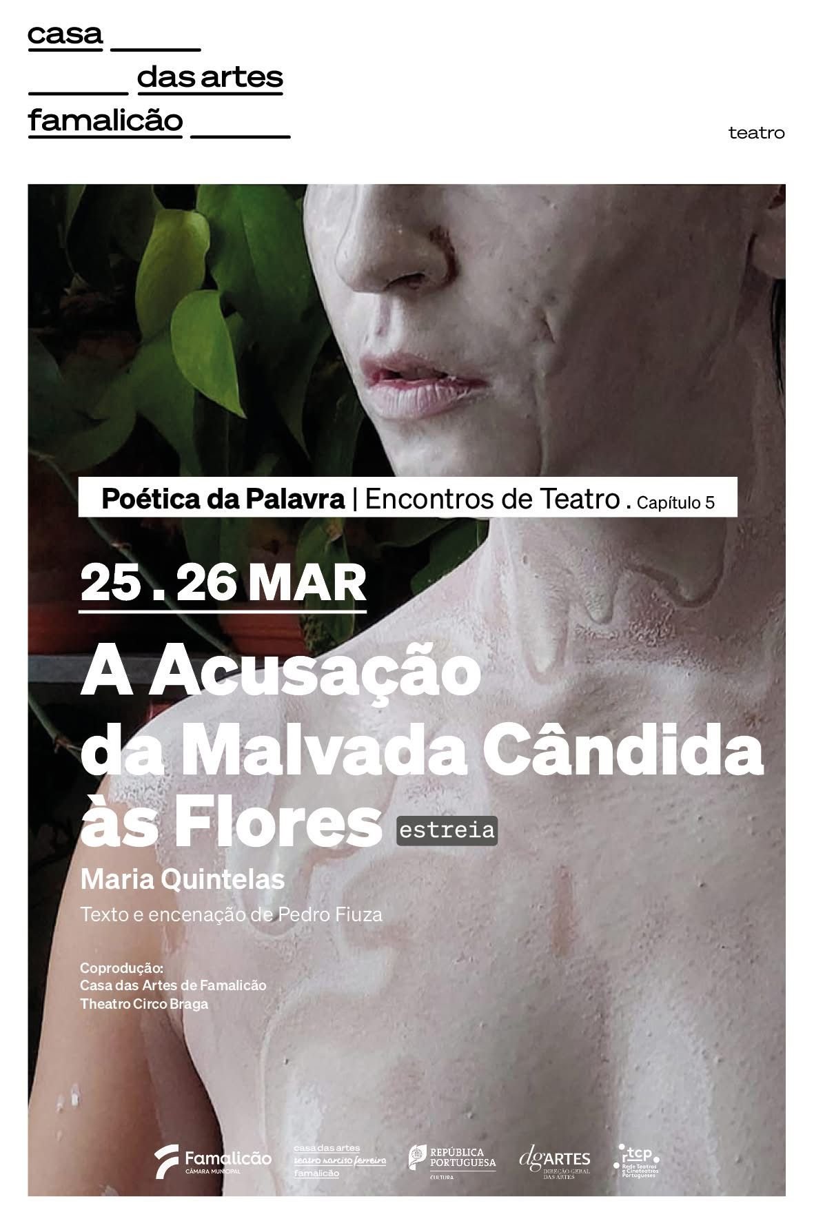 A ACUSAÇÃO DA MALVADA CÂNDIDA ÀS FLORES